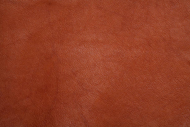 leather texture stock photo