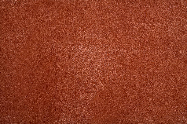 kết cấu da - da thuộc hình ảnh sẵn có, bức ảnh & hình ảnh trả phí bản quyền một lần