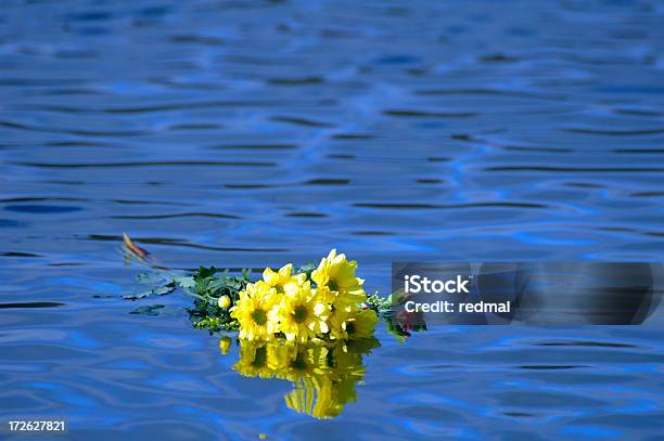 Schwimmende Blumen Stockfoto und mehr Bilder von Abschied - Abschied, Abwesenheit, Alt