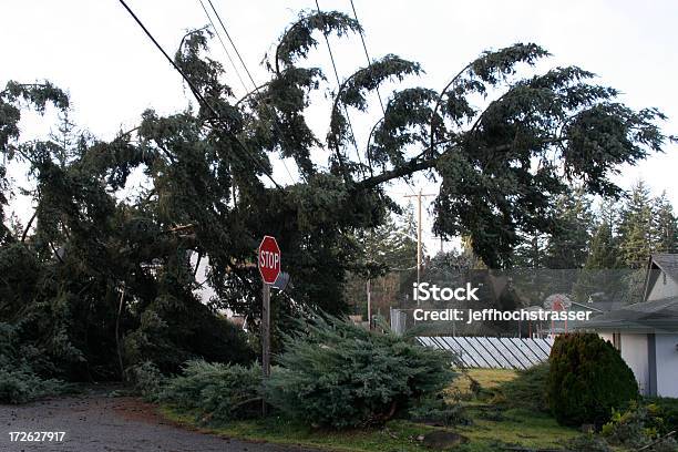 Natural Disaster Stock Photo - Download Image Now - Squall, Power Line, Stop Sign