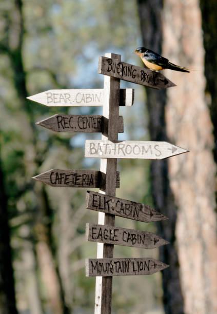 Signpost for various parts of a camp stock photo