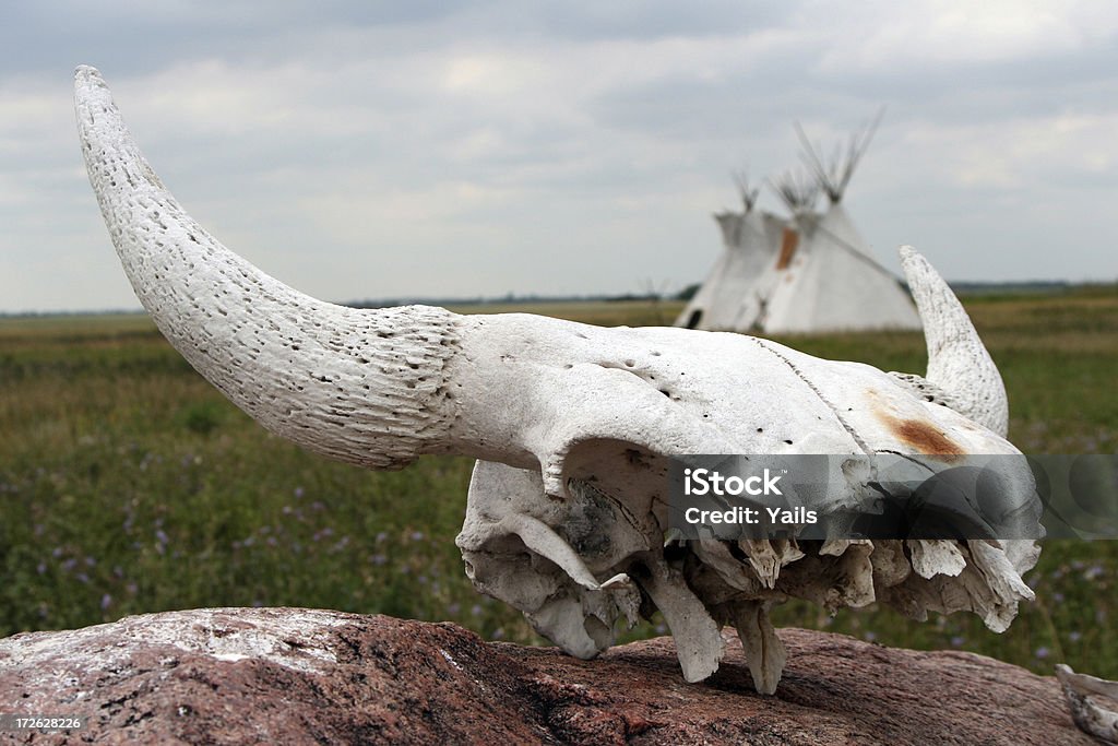 Buffalo permanece e tipis - Foto de stock de Canadá royalty-free