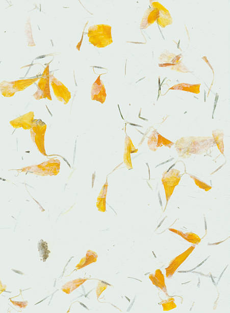 Papers of Distinction: Flower Petals stock photo
