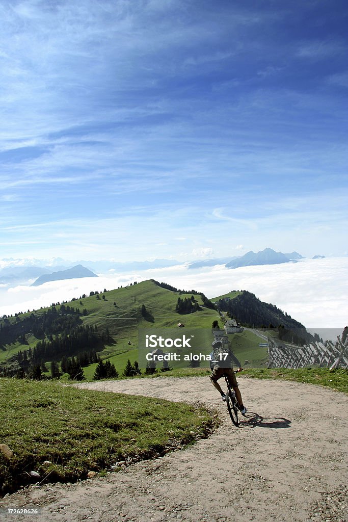 Downhill cycling A man on a bicycle is racing downhill. It's a sports picture. It's about mountain biking. Active Lifestyle Stock Photo