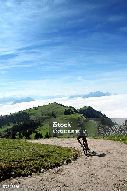 Downhill Cycling Stock Photo - Download Image Now - Active Lifestyle, Activity, Adult