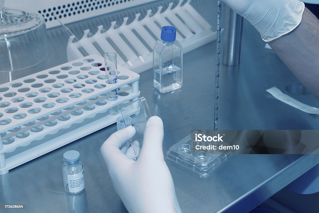 Serie de investigación - Foto de stock de Inseminación artificial libre de derechos