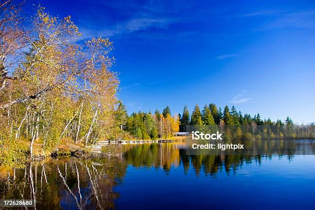 Photo libre de droit de Automne Lac banque d'images et plus d'images libres de droit de Arbre - Arbre, Automne, Bleu