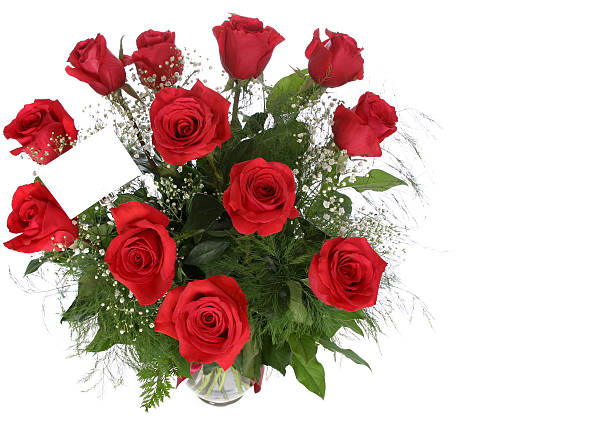 love - dozen roses stock-fotos und bilder