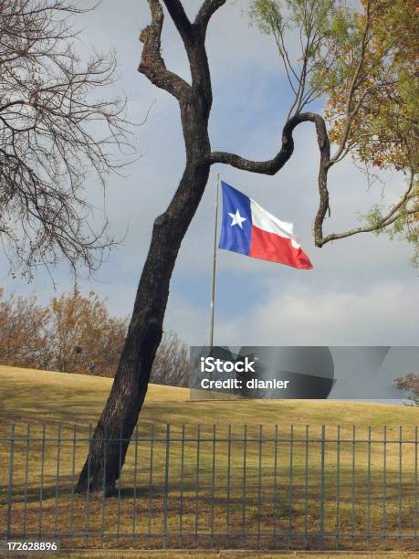 Texas Flagge Umgeben Von Mesquite Tree Stockfoto und mehr Bilder von Mesquitebaum - Mesquitebaum, Texas, Anhöhe