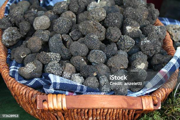 Photo libre de droit de Été Truffes Noires banque d'images et plus d'images libres de droit de Truffe - Champignon - Truffe - Champignon, Piémont, Couleur noire