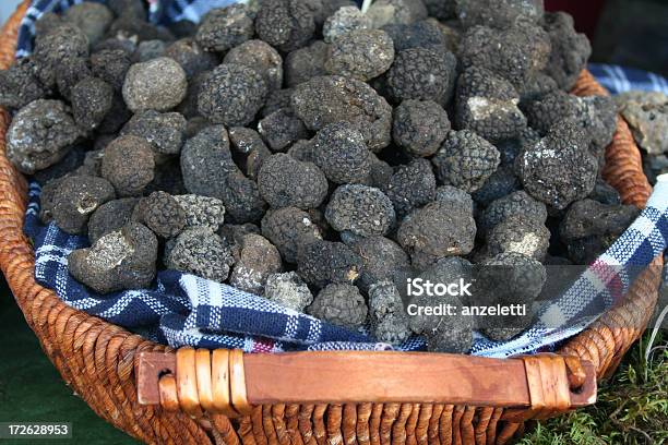 Czarne Trufle Lato - zdjęcia stockowe i więcej obrazów Trufla - grzyb - Trufla - grzyb, Piemont, Czarny kolor