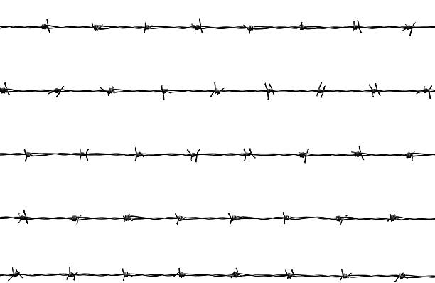 An illustration of a barb wire five lines of barb wire barbed wire photos stock pictures, royalty-free photos & images