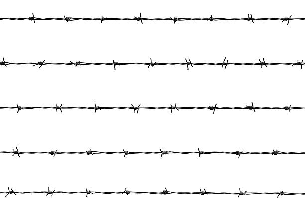 провод - barbed wire фотографии стоковые фото и изображения