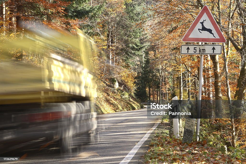 Caminhão está passando por entrar na floresta negra - Foto de stock de Alemanha royalty-free