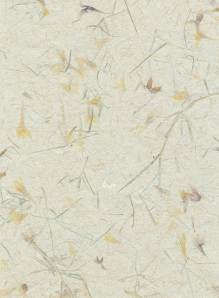 istock Papers of Distinction: Flower Petals 172629723