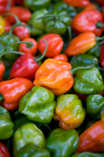 Colorful Habaneros Peppers
