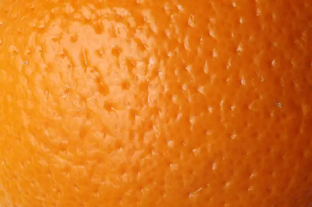 Photo of Orange skin