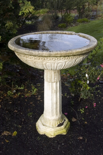 View of bird bath with reflections