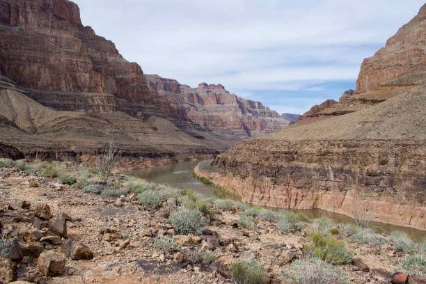 istock Grand Canyon view overlooking the river 1726336178