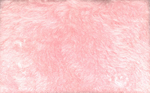 Texture - Pink Shag Hi-res scan shag rug stock pictures, royalty-free photos & images