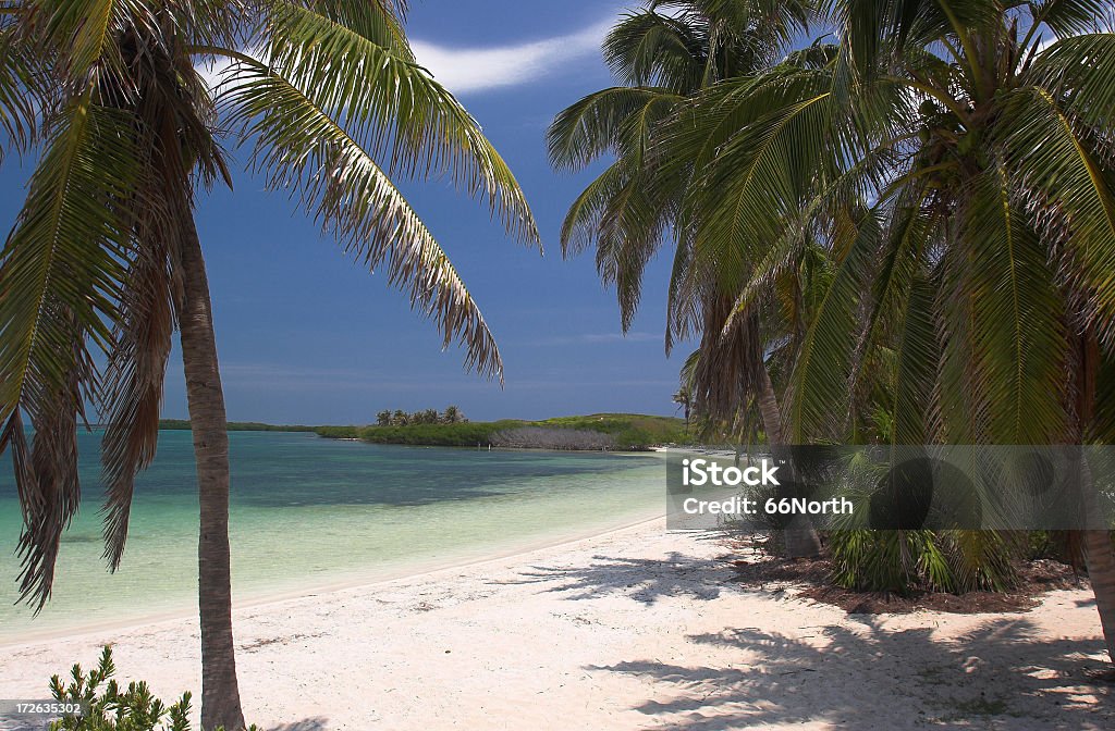 Bellezza dell'isola - Foto stock royalty-free di Acqua