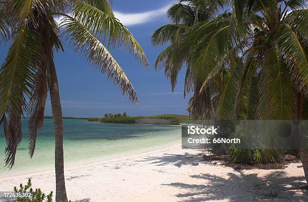 Ilha De Beleza - Fotografias de stock e mais imagens de América Latina - América Latina, Areia, Azul