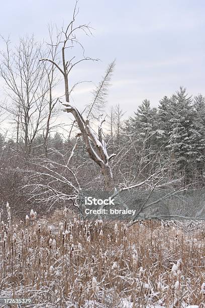 Winter Malerischen Stockfoto und mehr Bilder von Baum - Baum, Fotografie, Himmel