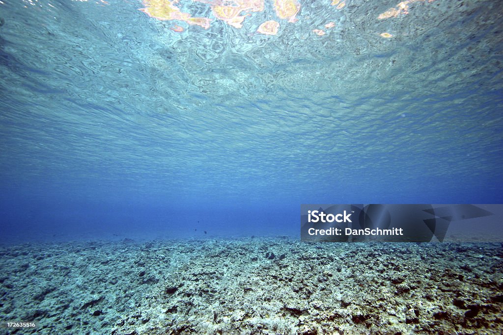 Beaucoup de récif - Photo de Au fond de l'océan libre de droits