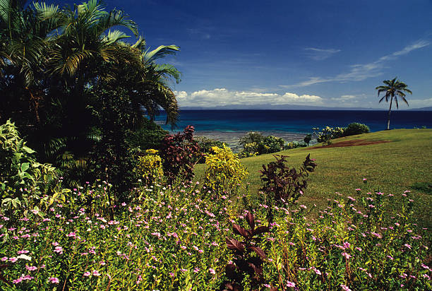 Fantasy Island "Beautiful garden at tropical hilltop resort, Fiji." taveuni photos stock pictures, royalty-free photos & images