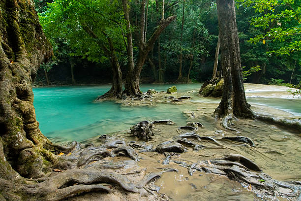 erawan cascade - asia kanchanaburi province lake nature photos et images de collection