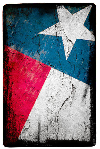 drapeau du texas xxl - texas blues photos et images de collection