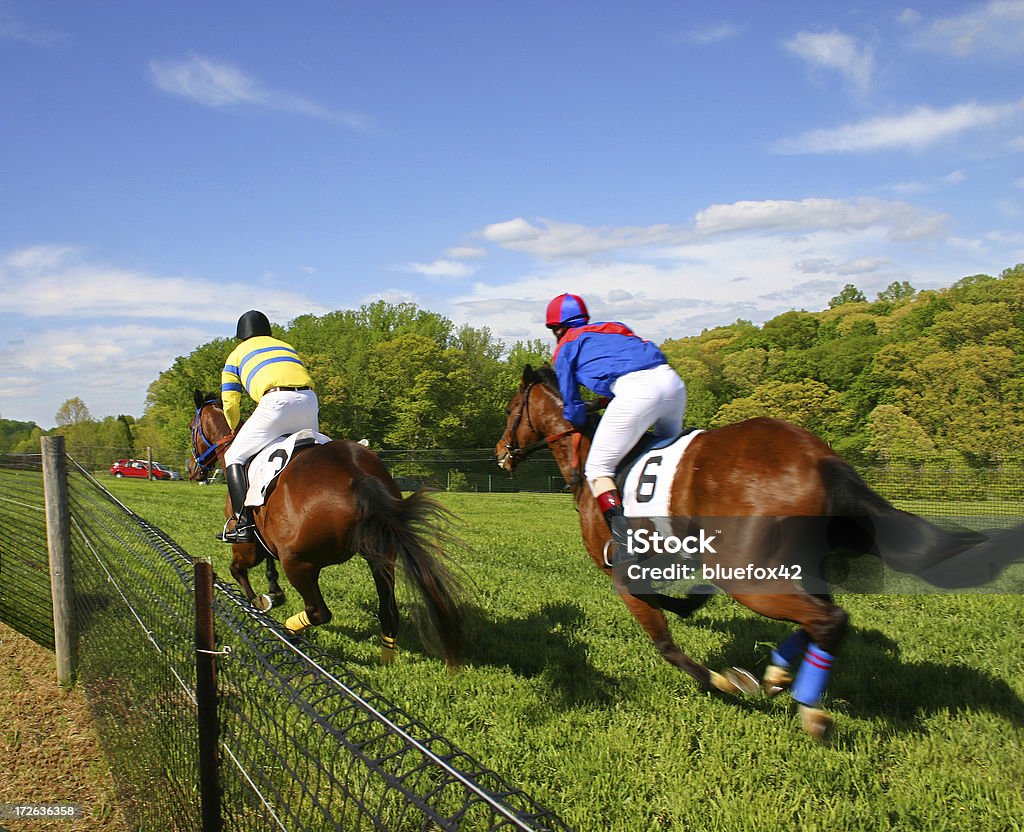 Corrida de Cavalos - Royalty-free Animal Foto de stock