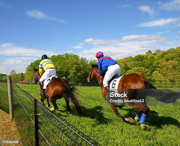 Corrida De Cavalos - Fotografias de stock e mais imagens de Animal - Animal, Animal Doméstico, Atividade