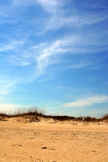 Beach stock photo