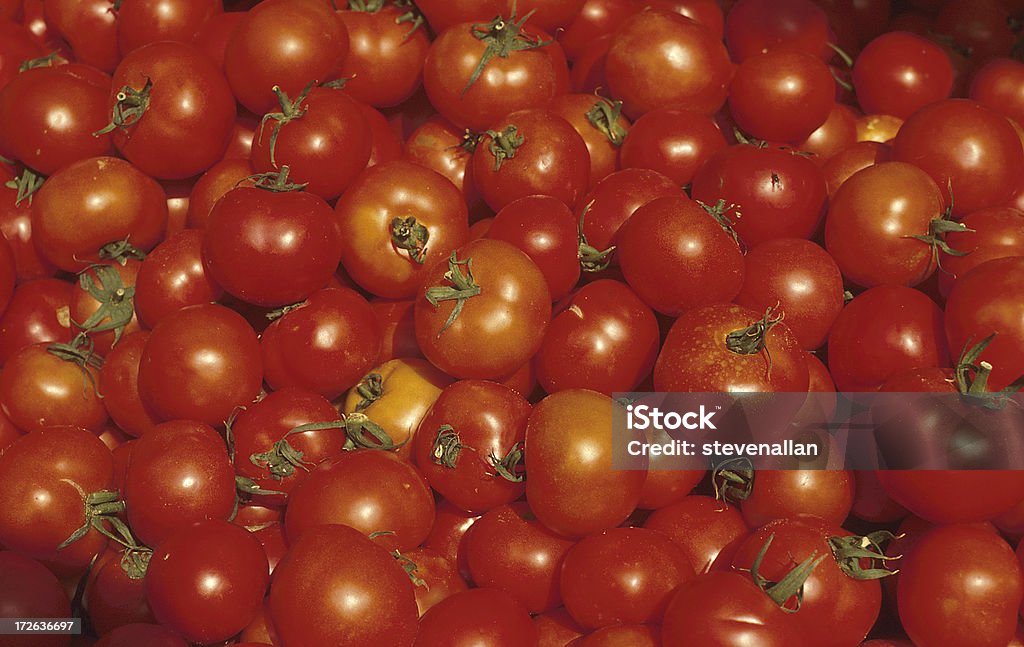 Tomaten - Lizenzfrei Agrarbetrieb Stock-Foto
