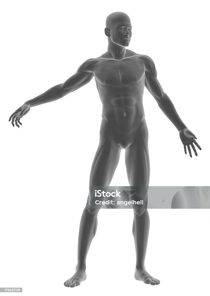 Corpo humano de um homem, de pé - Royalty-free Corpo humano Foto de stock