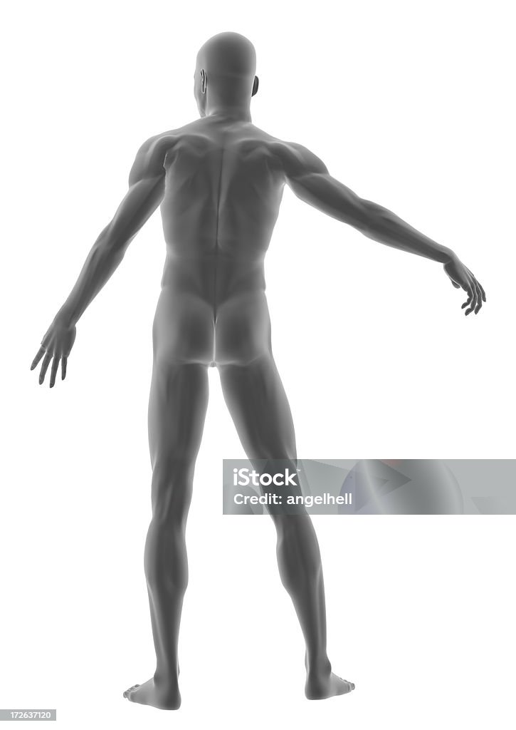 Corpo humano de um homem, de pé - Royalty-free Adulto Foto de stock