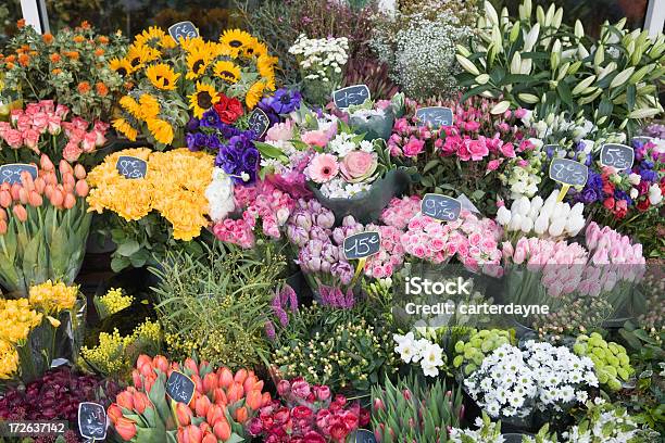 Europea E Freschi Bouquet Fiori Negozio - Fotografie stock e altre immagini di Freschezza - Freschezza, Mazzo di fiori, Abbondanza