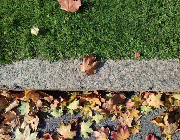 istock Granite curb, green grass and yellow dry maple leaves in fall 1726372825