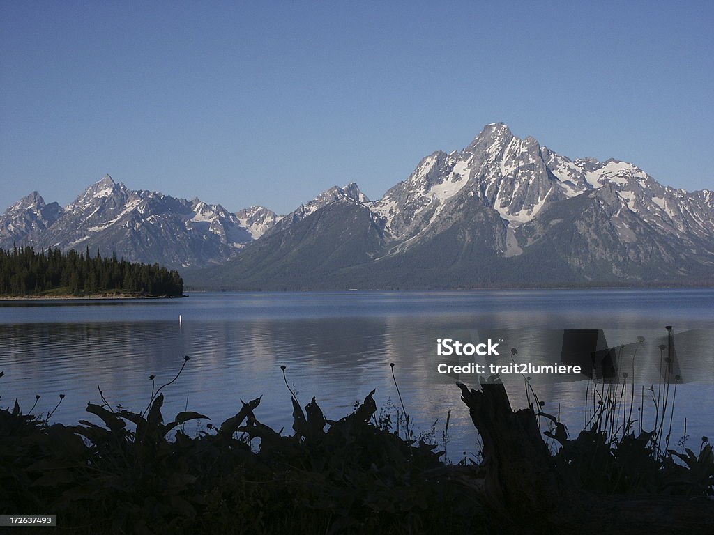 Gama de Grand teton - Foto de stock de Agua libre de derechos