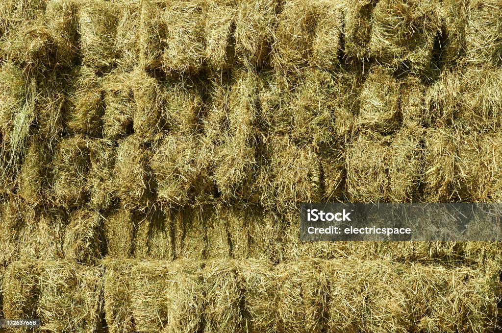 Lots of hay Similar Images: Bale Stock Photo