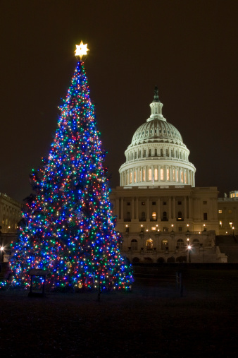 Washington D.C. The capitol, the seat of the government of the United States.