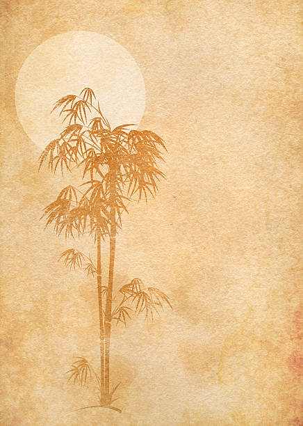 sfondo stile giapponese - giant bamboo foto e immagini stock