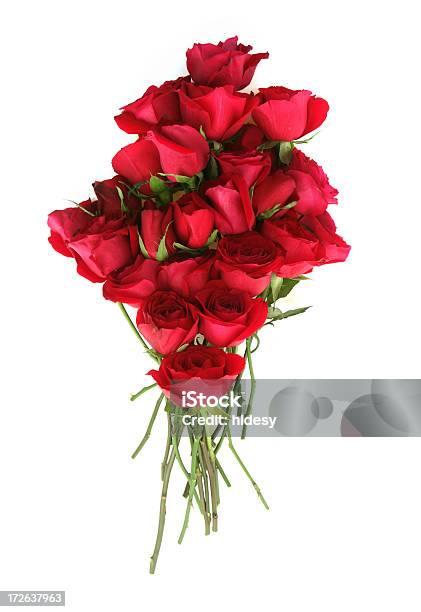 Photo libre de droit de Tas De Roses banque d'images et plus d'images libres de droit de Amour - Amour, Beauté, Bouquet de fleurs
