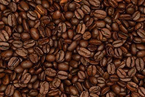 Oily coffee beans
