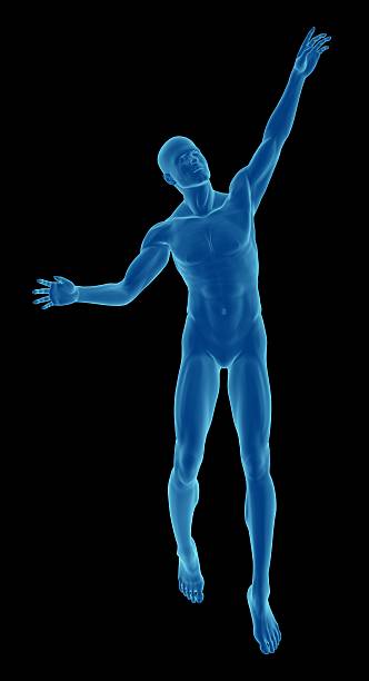 menschlichen körper eines mannes fast float - arms outstretched men anatomy front view stock-fotos und bilder