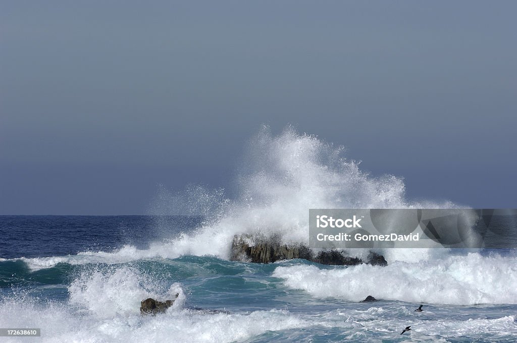 Vagues qui viennent s'échouer sur les rochers de l'océan - Photo de Californie libre de droits