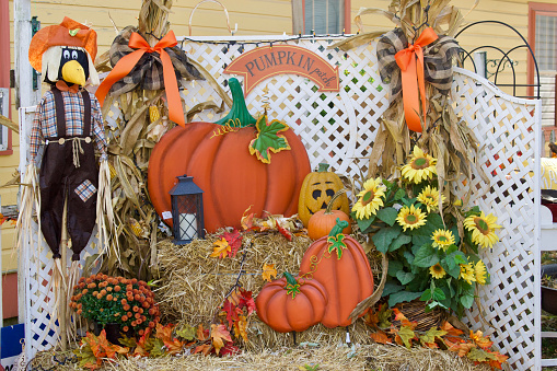 Scarecrow in a pumpkin patch at a farmer's market in Keremeos, British Columbia, Canada.