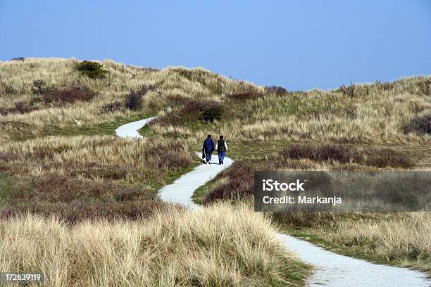Pathway In Dunes 4 Stock Photo - Download Image Now - Sand Dune, Walking, Ameland