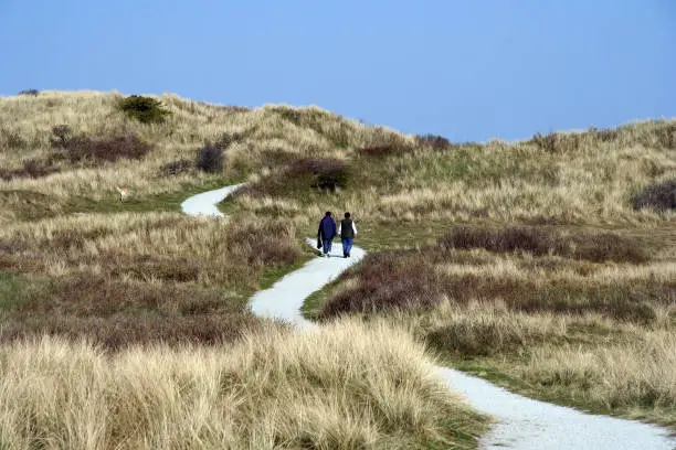 Couple walking on a nice winding pathway in the dunes.